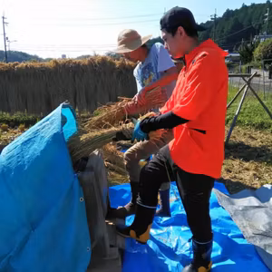 ＃45 さては寒露の田んぼ考❓無事に脱穀も終わり、あらためて米づくり、食べものを作る意味、畑とのかかわりを考える。えんがわマルシェ10/16 たねの会10/19告知