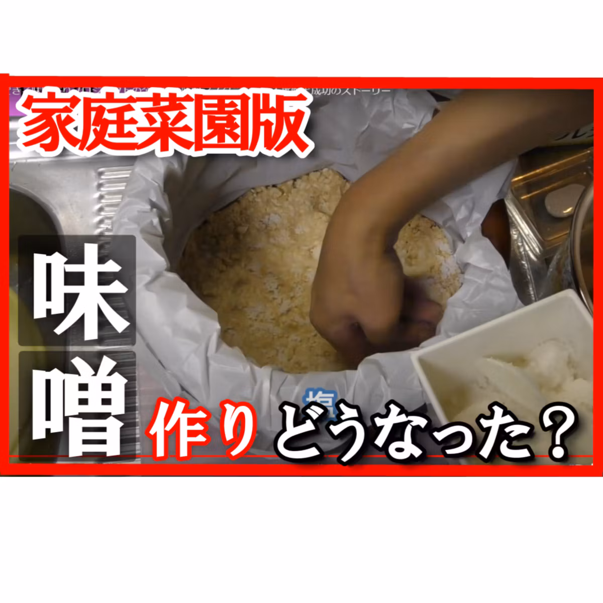 味噌づくりどうなったか忘れていました｜家庭菜園で作った大豆で