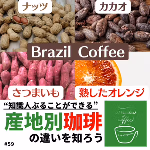 #59【ブラジル珈琲】産地別珈琲の特徴 [1]