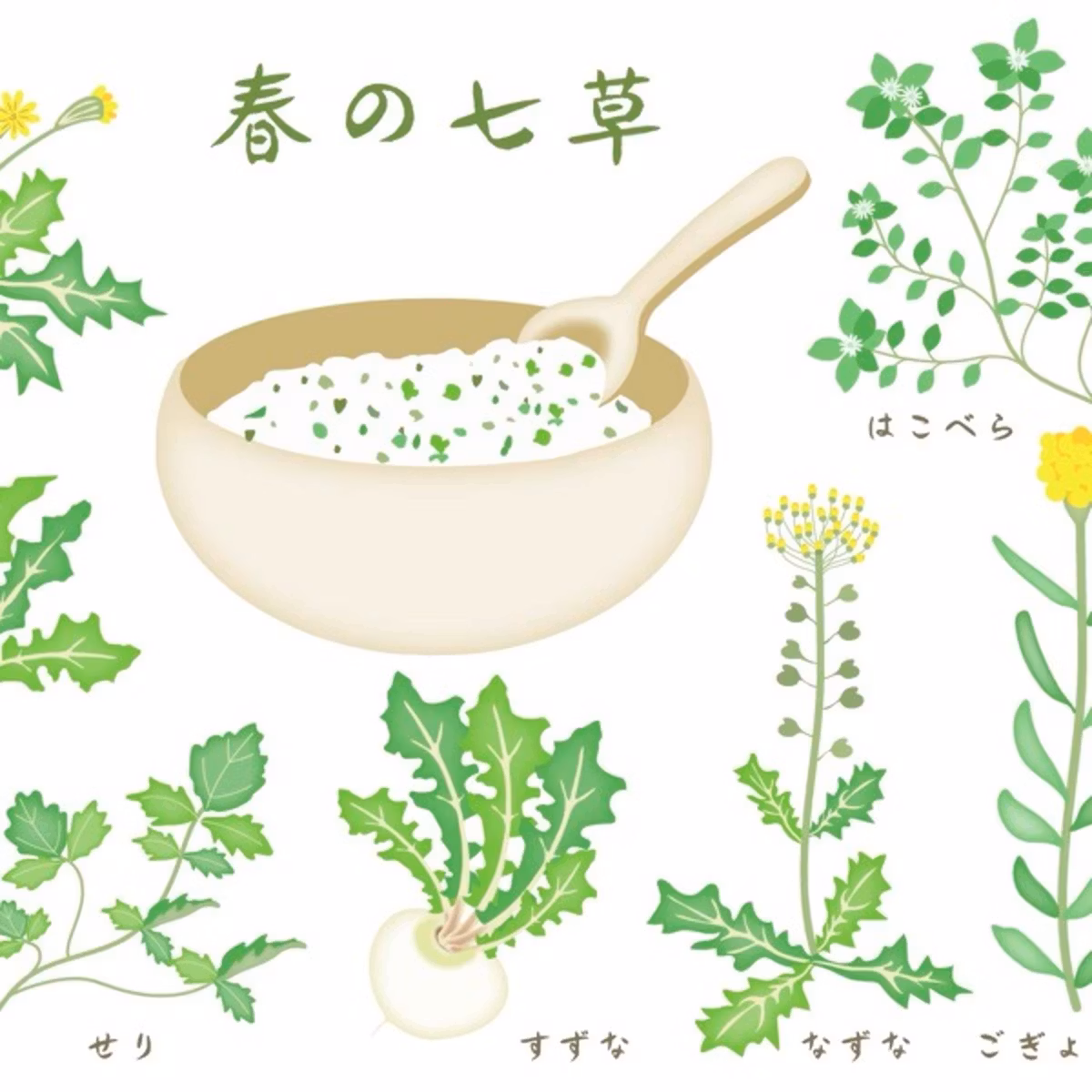 🌿小寒　二十四節気　少し胃腸を労りながら