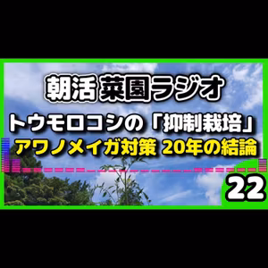 秋収穫を目指す！トウモロコシの「抑制栽培」