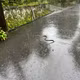 #4 蛇と地震。