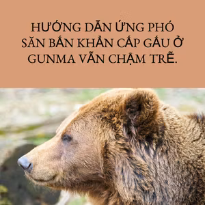 Hướng dẫn ứng phó săn bắn khẩn cấp gấu ở Gunma vẫn chậm trễ.