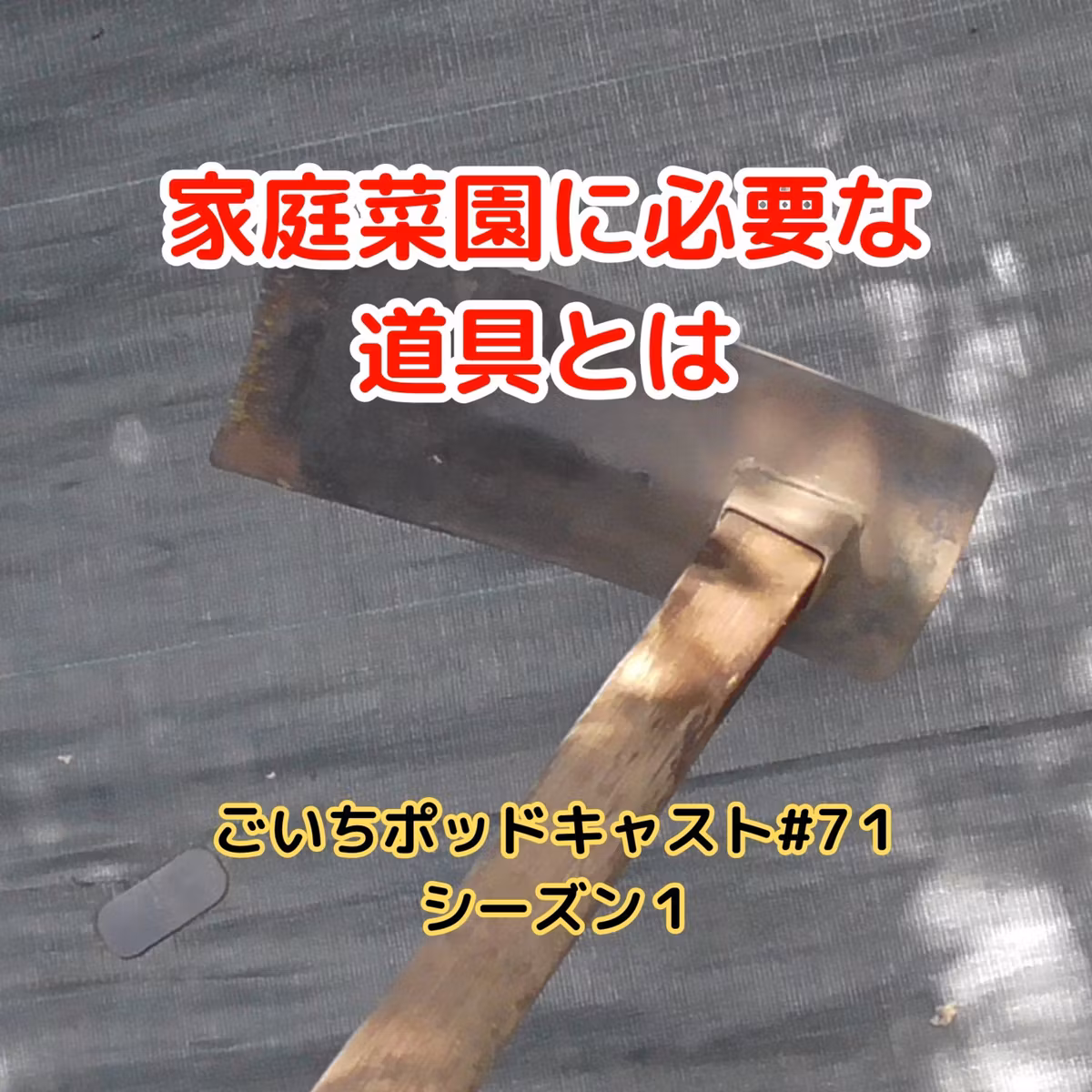 家庭菜園に必要な道具とは#71｜ごいち 家庭菜園がおもしろい シーズン１｜ Tools needed for home garden #podcast