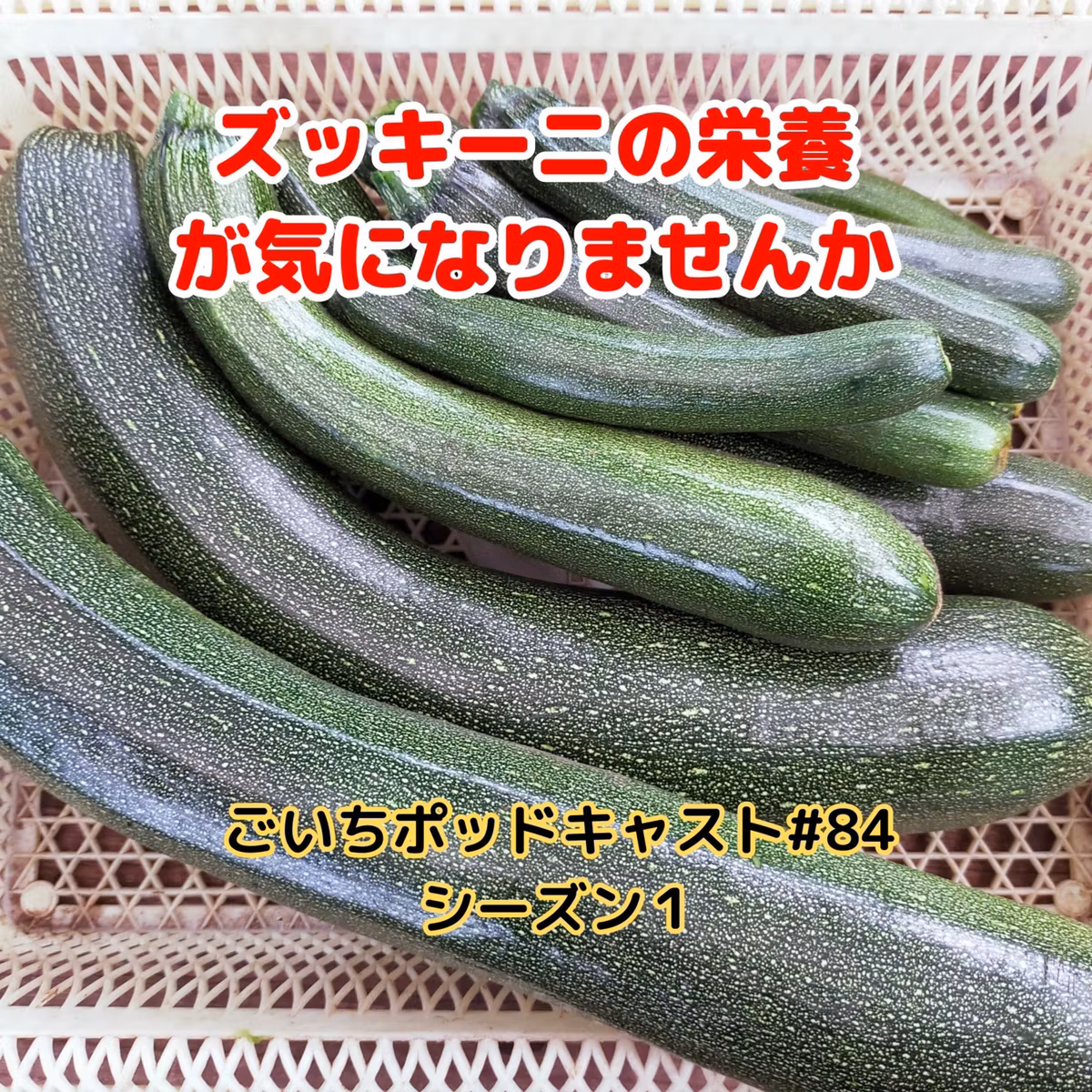 ズッキーニの栄養が気になりませんか#84｜ごいち 家庭菜園がおもしろい シーズン１｜I want to grow pepino #podcast