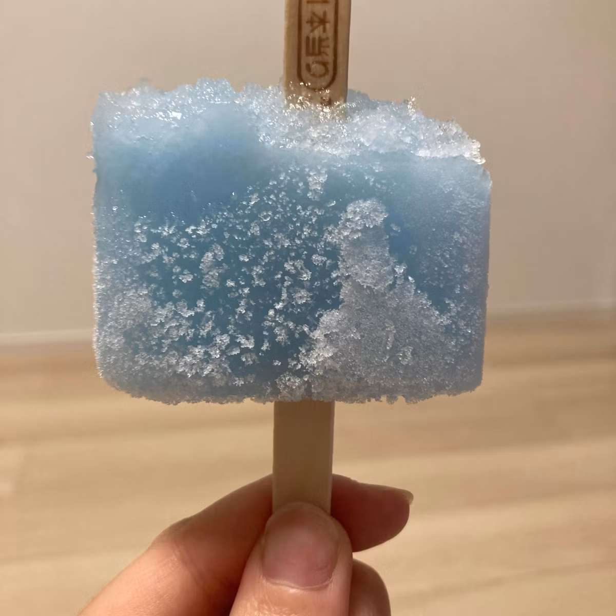 夏帆を読んだり雨が降ったり