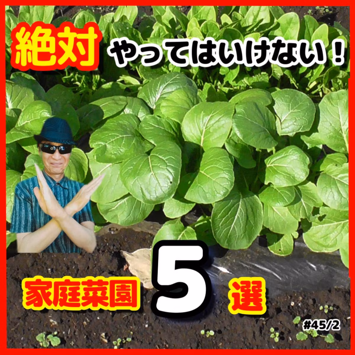 家庭菜園で絶対やってはいけないこと５点| ごいちポッドキャスト Goichi Podcast