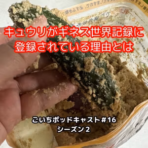 キュウリがギネス世界記録に登録されている理由とは#16｜ごいち 家庭菜園がおもしろい シーズン２｜Why Cucumbers Are in the Guinness World Records #podcast
