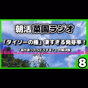 【ダイソーの種】30粒がほぼ発芽！家庭菜園ド素人さんからの嬉しい報告＆夏野菜を育てる「次のステップ」【朝活菜園ラジオ】