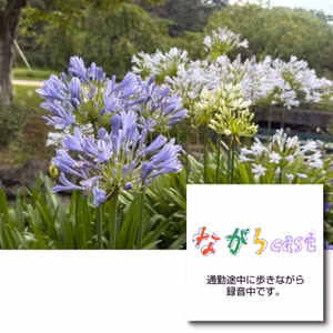 ながらcast4/179 【ゆる旅しずおか】無料期間がはじまった浜松フラワーパーク
