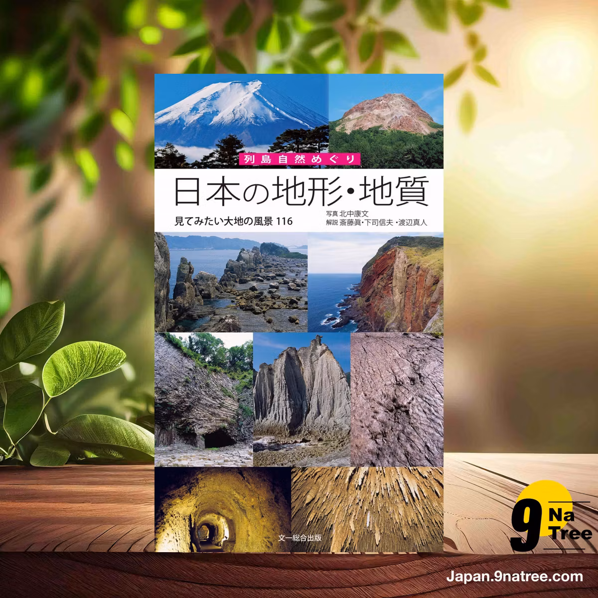                     [レビュー] 日本の地形・地質―見てみたい大地の風景116  (斎藤 眞) 要約した.                