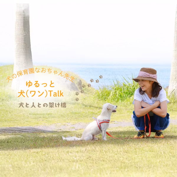 【私は「犬のしつけ」をしたいんじゃない】🐶と気づかされたコラボライブでした🐑🌟