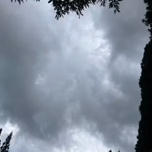 この夏一番こわ〜いと思ったこと🙀